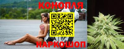 гидра Шахты