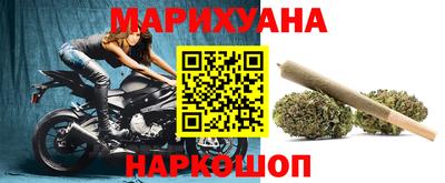 гидра Шахты