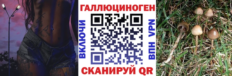 shop официальный сайт  blacksprut как войти  Галлюциногенные грибы мицелий  Шумерля  хочу  