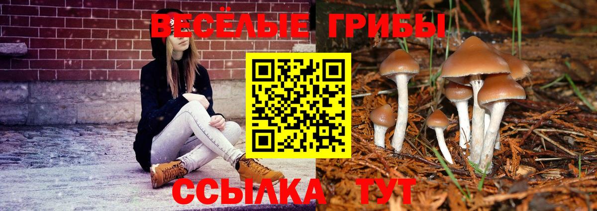 Псилоцибиновые грибы мухоморы Шумерля